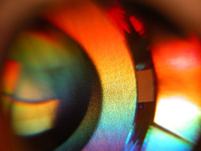dvdvista3.JPG