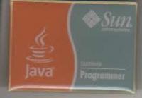 El pin, pero no tiene imán como el de Microsoft. jaja =/