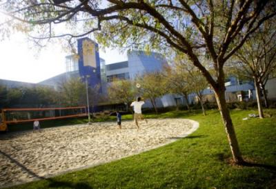 Hasta una cancha de Volleyball hay en sus instalaciones!
