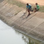 Lo mejor que tiene el ser humano..