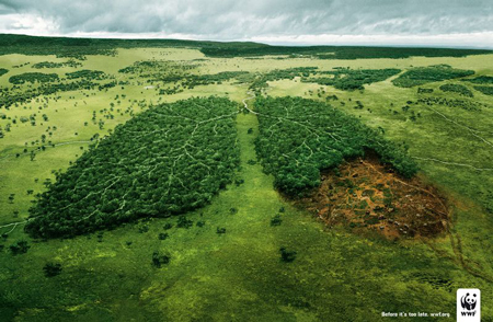 wwf-forest-lung forest-lung
