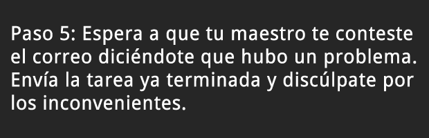 Paso 5
