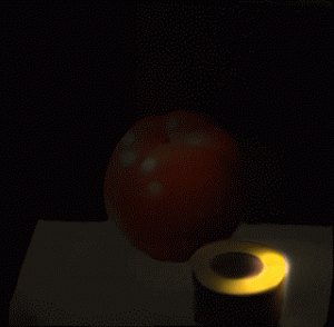 tomato_lightprop_s