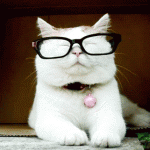 animated_photos_044