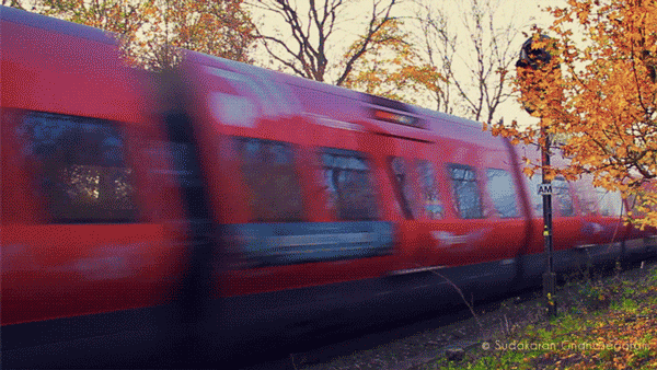 animated_photos_15