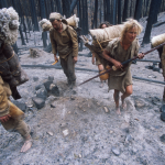 7_evotg17